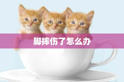 腳摔傷了怎么辦