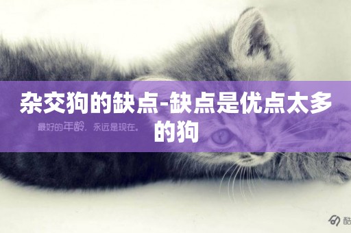 雜交狗的缺點-缺點是優點太多的狗