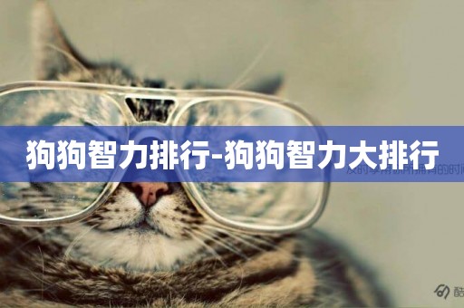 狗狗智力排行-狗狗智力大排行