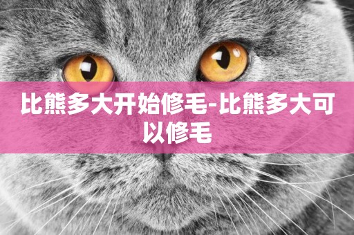 比熊多大開始修毛-比熊多大可以修毛