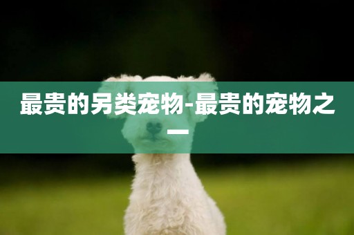 最貴的另類寵物-最貴的寵物之一