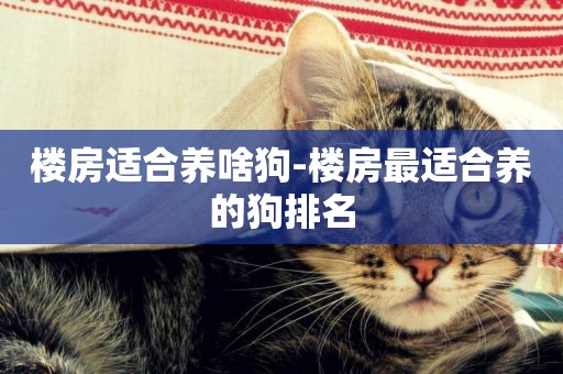樓房適合養啥狗-樓房最適合養的狗排名