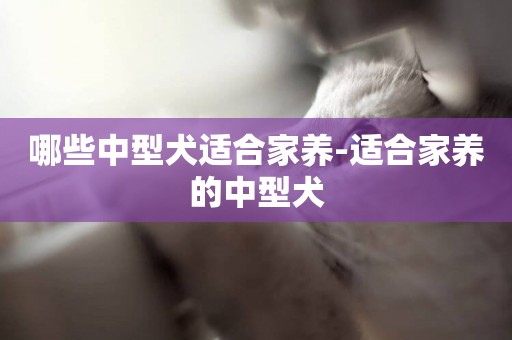 哪些中型犬適合家養-適合家養的中型犬