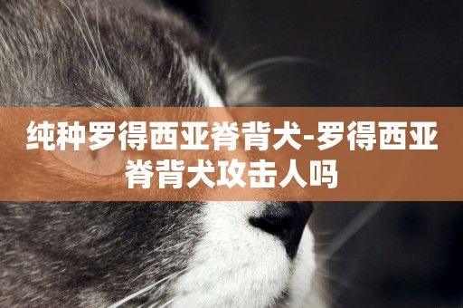 純種羅得西亞脊背犬-羅得西亞脊背犬攻擊人嗎
