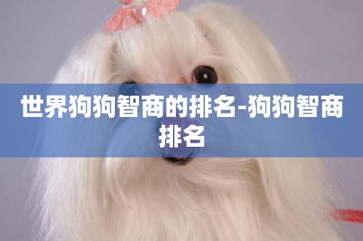 世界狗狗智商的排名-狗狗智商排名
