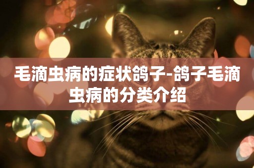 毛滴蟲病的癥狀鴿子-鴿子毛滴蟲病的分類介紹