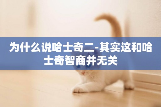 為什么說哈士奇二-其實這和哈士奇智商并無關
