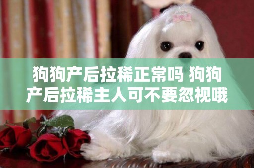 狗狗產后拉稀正常嗎 狗狗產后拉稀主人可不要忽視哦！