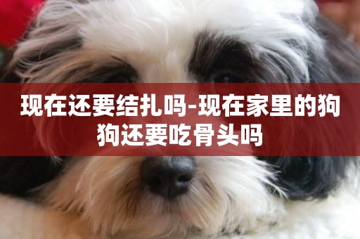 現在還要結扎嗎-現在家里的狗狗還要吃骨頭嗎