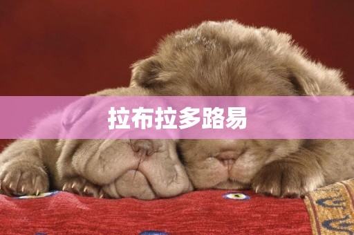 拉布拉多路易