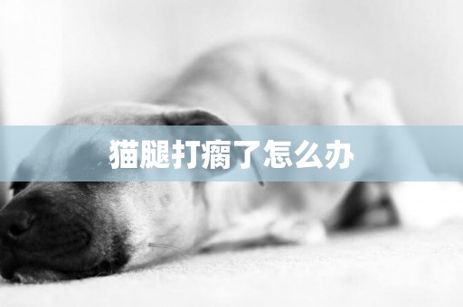 貓腿打瘸了怎么辦