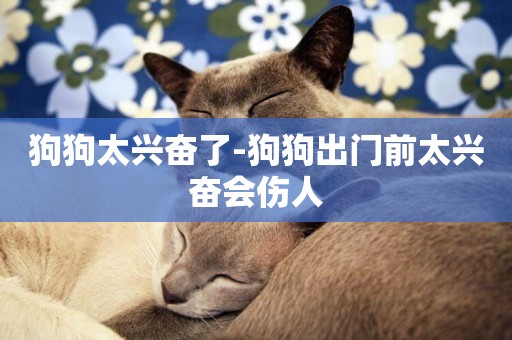 狗狗太興奮了-狗狗出門前太興奮會傷人
