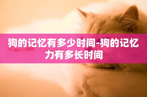 狗的記憶有多少時間-狗的記憶力有多長時間