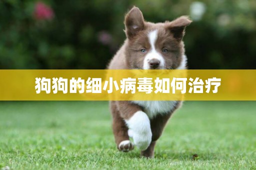 狗狗的細小病毒如何治療