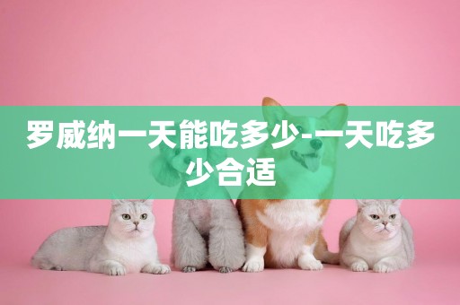 羅威納一天能吃多少-一天吃多少合適