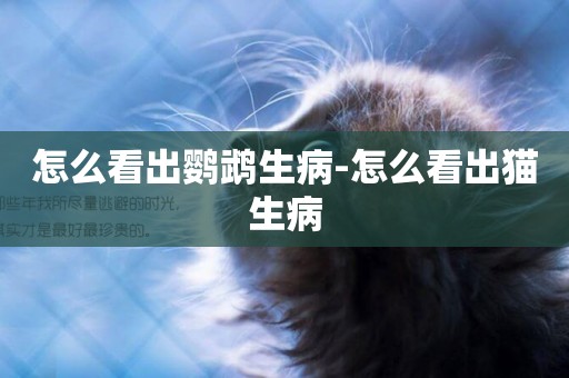 怎么看出鸚鵡生病-怎么看出貓生病