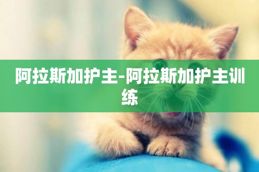 阿拉斯加護主-阿拉斯加護主訓練