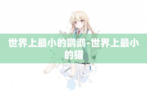 世界上最小的鸚鵡-世界上最小的貓