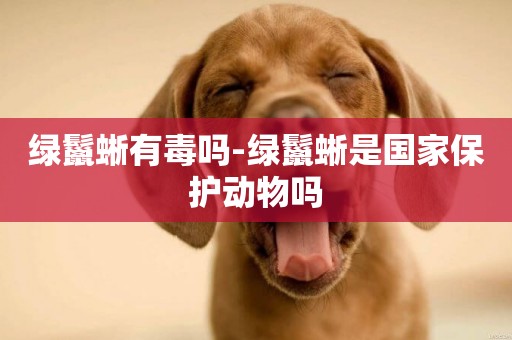 綠鬣蜥有毒嗎-綠鬣蜥是國家保護動物嗎