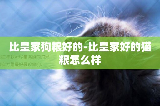 比皇家狗糧好的-比皇家好的貓糧怎么樣