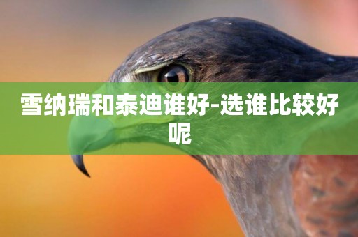 雪納瑞和泰迪誰好-選誰比較好呢