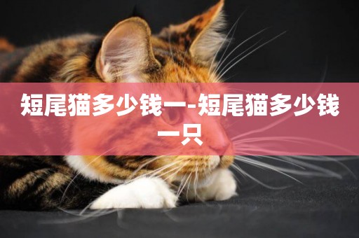 短尾貓多少錢一-短尾貓多少錢一只