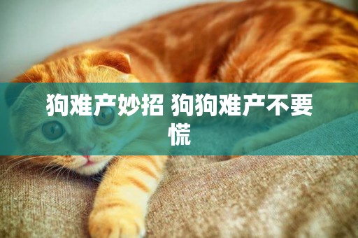狗難產妙招 狗狗難產不要慌