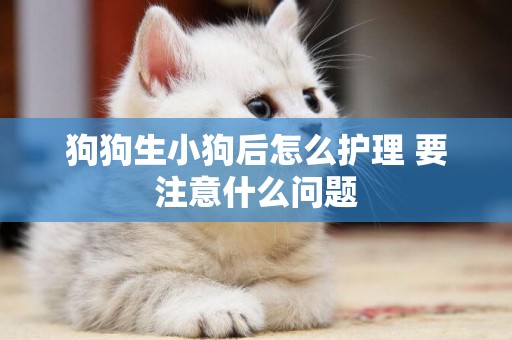 狗狗生小狗后怎么護理 要注意什么問題