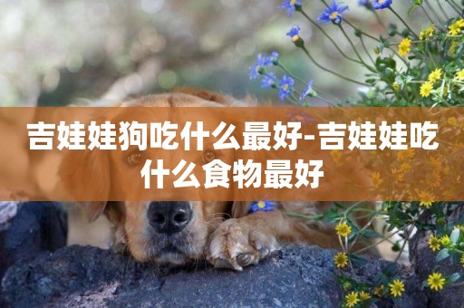 吉娃娃狗吃什么最好-吉娃娃吃什么食物最好