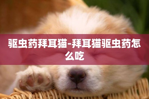 驅蟲藥拜耳貓-拜耳貓驅蟲藥怎么吃