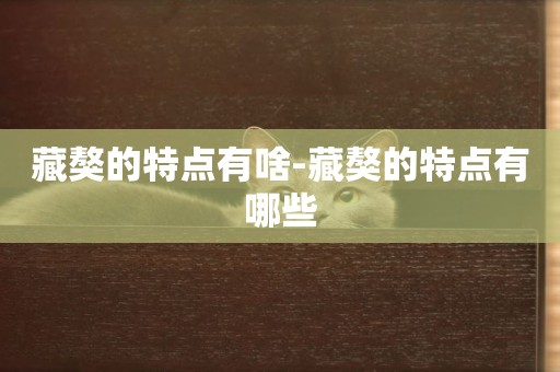 藏獒的特點有啥-藏獒的特點有哪些