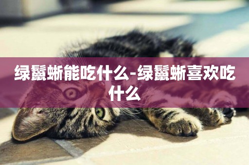 綠鬣蜥能吃什么-綠鬣蜥喜歡吃什么