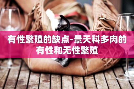 有性繁殖的缺點-景天科多肉的有性和無性繁殖