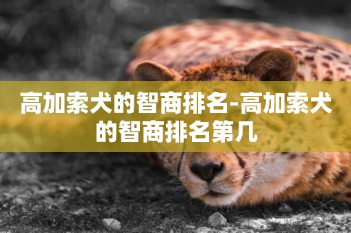 高加索犬的智商排名-高加索犬的智商排名第幾