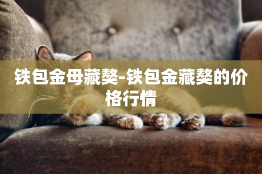 鐵包金母藏獒-鐵包金藏獒的價格行情