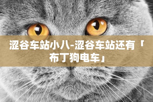澀谷車站小八-澀谷車站還有「布丁狗電車」