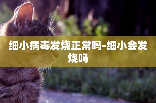 細小病毒發燒正常嗎-細小會發燒嗎