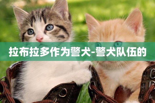 拉布拉多作為警犬-警犬隊伍的