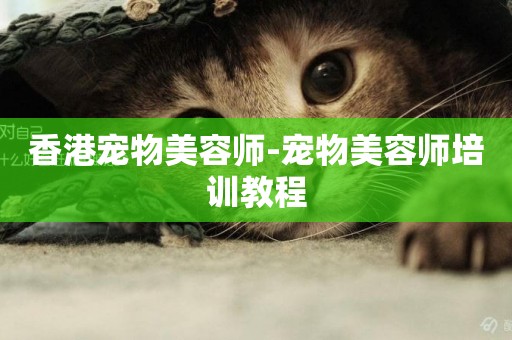香港寵物美容師-寵物美容師培訓教程