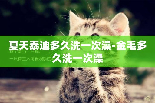 夏天泰迪多久洗一次澡-金毛多久洗一次澡