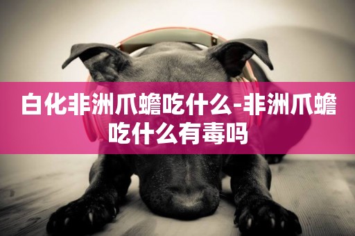 白化非洲爪蟾吃什么-非洲爪蟾吃什么有毒嗎