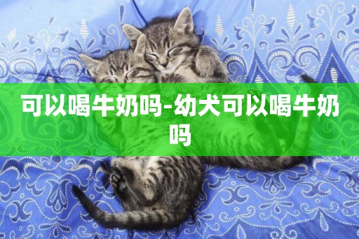 可以喝牛奶嗎-幼犬可以喝牛奶嗎