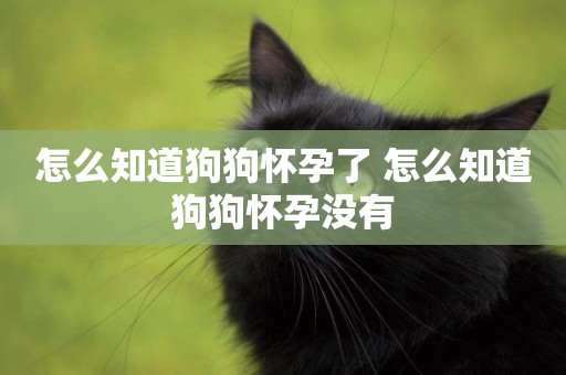 怎么知道狗狗懷孕了 怎么知道狗狗懷孕沒有