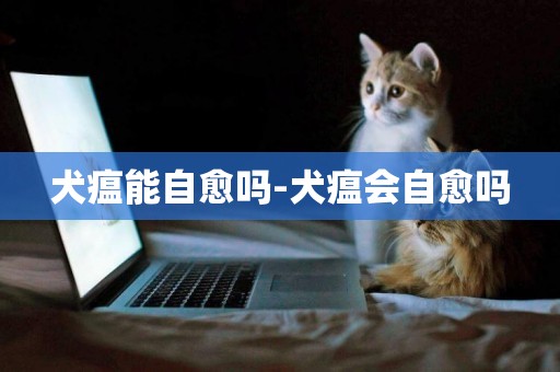 犬瘟能自愈嗎-犬瘟會自愈嗎