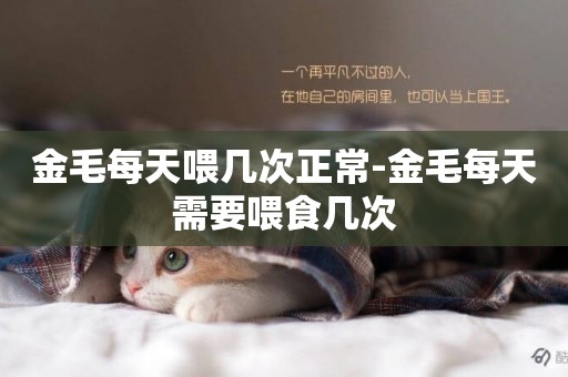 金毛每天喂幾次正常-金毛每天需要喂食幾次