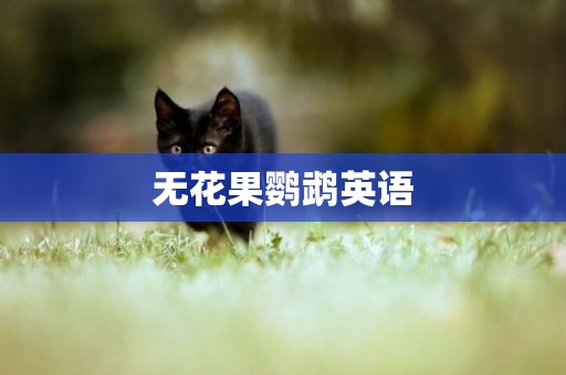 無花果鸚鵡英語