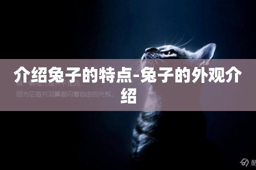 介紹兔子的特點-兔子的外觀介紹
