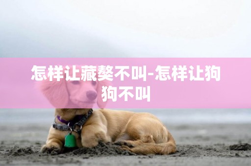 怎樣讓藏獒不叫-怎樣讓狗狗不叫