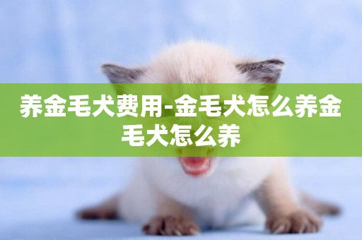 養金毛犬費用-金毛犬怎么養金毛犬怎么養