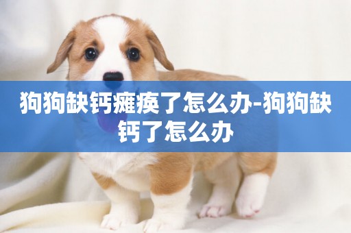 狗狗缺鈣癱瘓了怎么辦-狗狗缺鈣了怎么辦